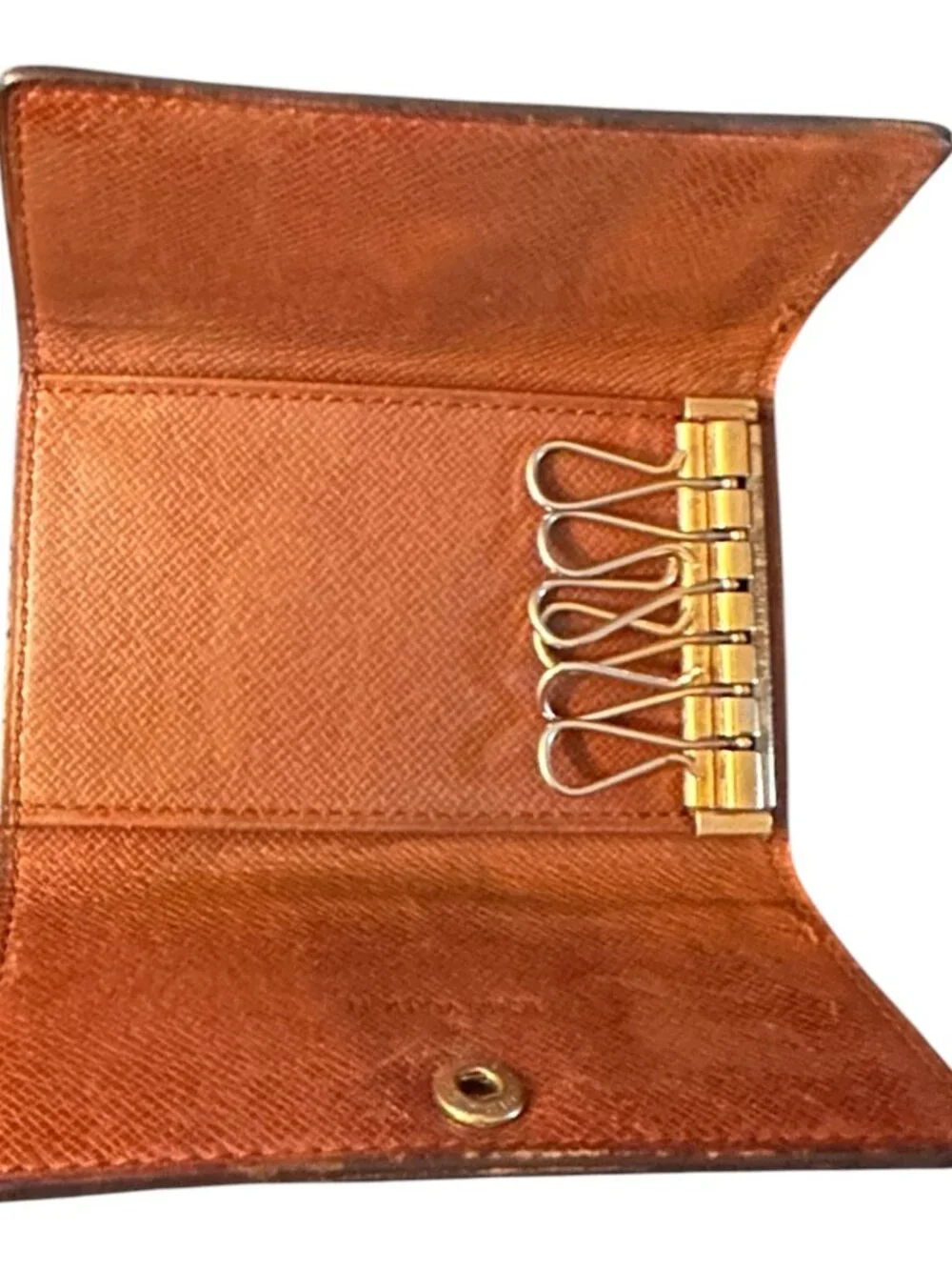 Louis Vuitton authentic louis